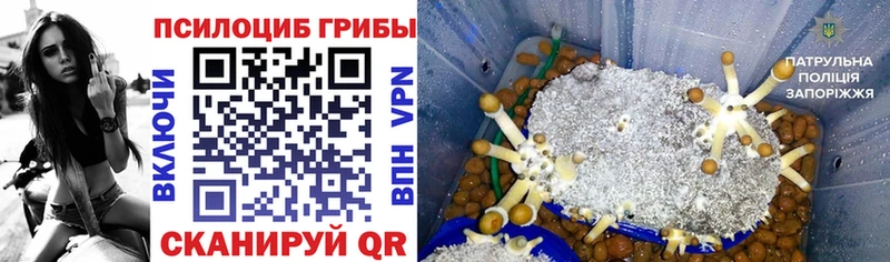 Псилоцибиновые грибы ЛСД  Кодинск 